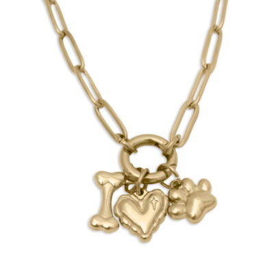 Pet Charm Holder Necklace Gift Set - 18K Gold coated Stainless Steel