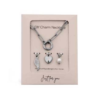 Angel Wing Charm Holder Necklace Gift Set - 316L Stainless Steel